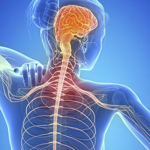 برنامج تأهيل مصابي التصلب اللويحي Multiple scleroses rehabilitation program